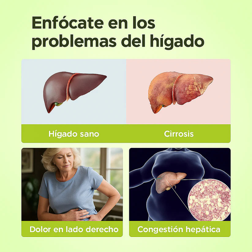 Limpiador Hígado y Vesícula, Boldo y Extracto de Cardo Mariano