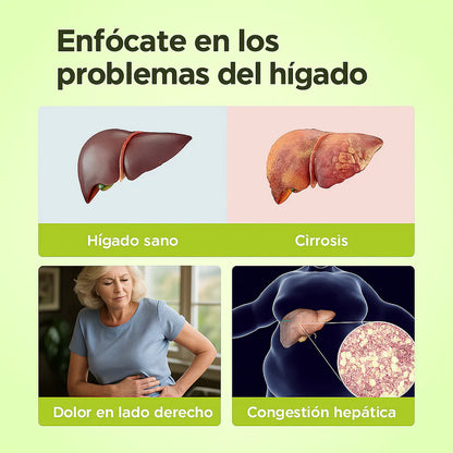 Limpiador Hígado y Vesícula, Boldo y Extracto de Cardo Mariano